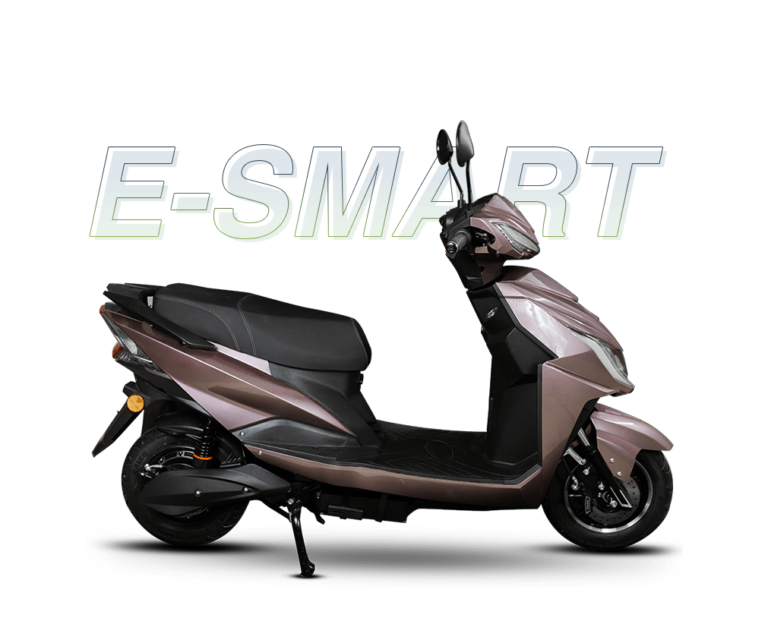 E-Smart Low Speed GoBike Scooter